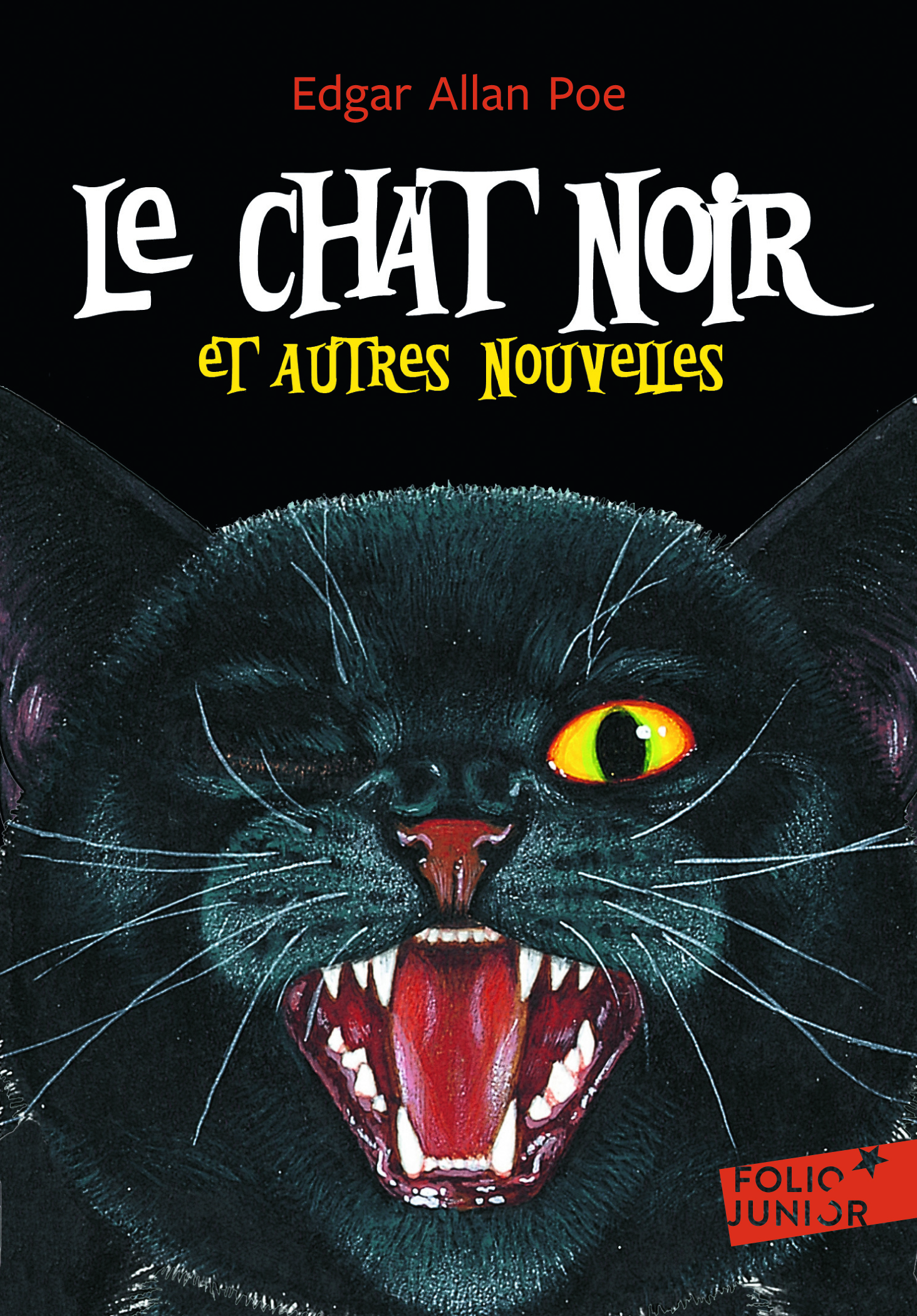 Livre Le Chat Noir Et Autres Nouvelles Gallimard Jeunesse