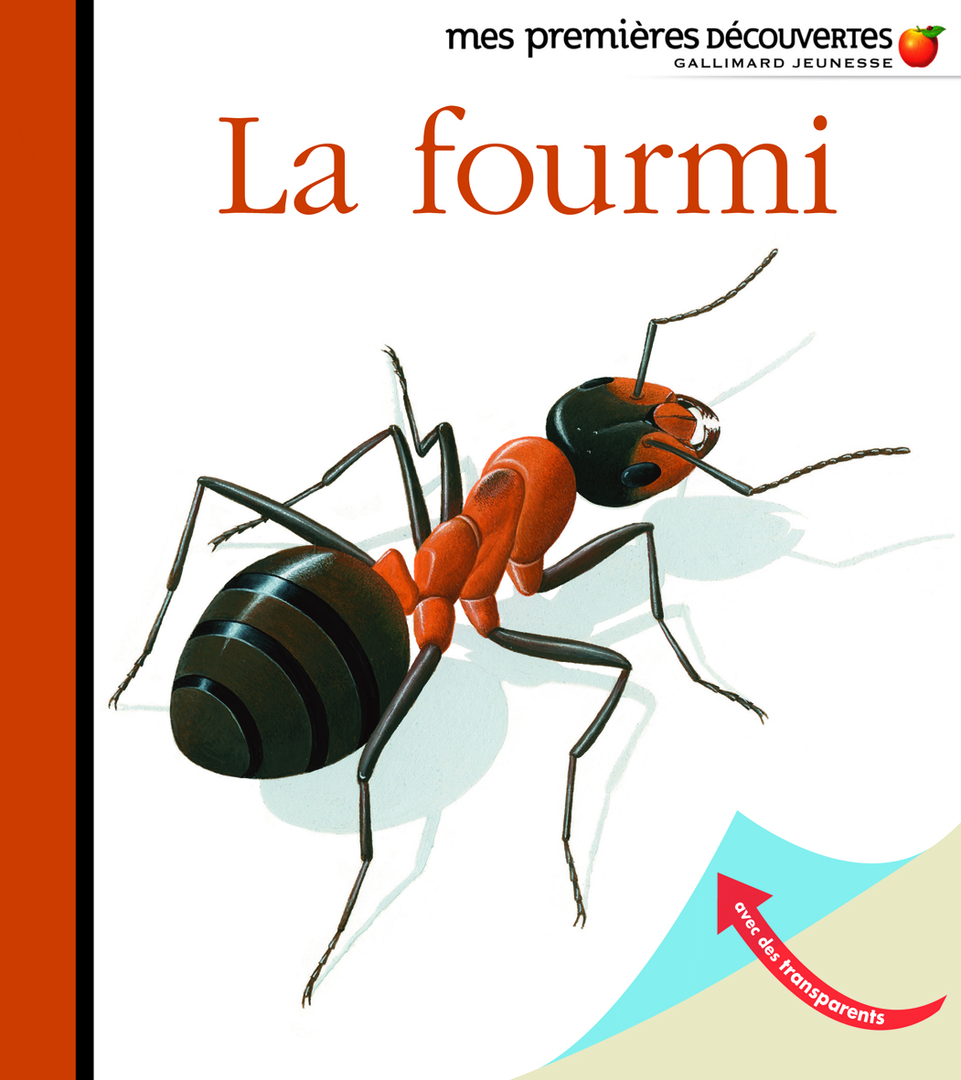 Livre d'éveil cartonné nature 0-3 ans - la fourmi - Amaterra