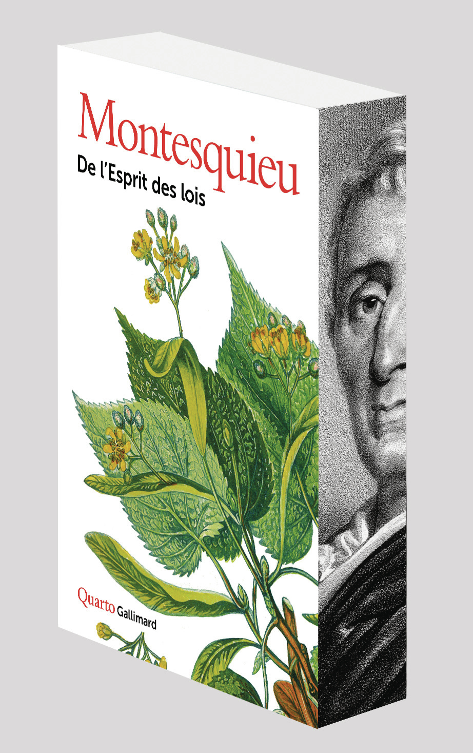 De l'Esprit des lois de Montesquieu | Gallimard