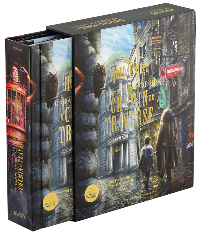 Harry Potter : le grand livre pop-up du chemin de traverse - Matthew  Reinhart - Gallimard-jeunesse - Grand format - Librairie Tome 7 PARIS